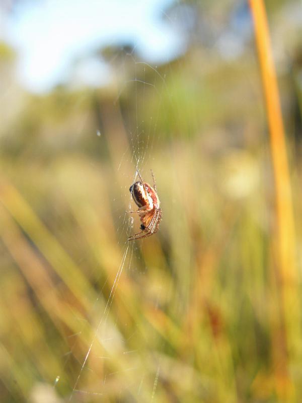 ZZ_ZZXYX_D5974_Z_75_Home Wendy Eiby_Australie.jpg